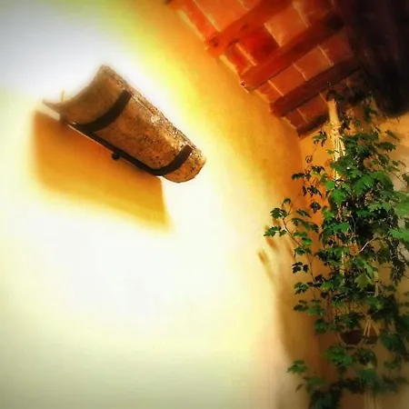 Appartement El Clos 3